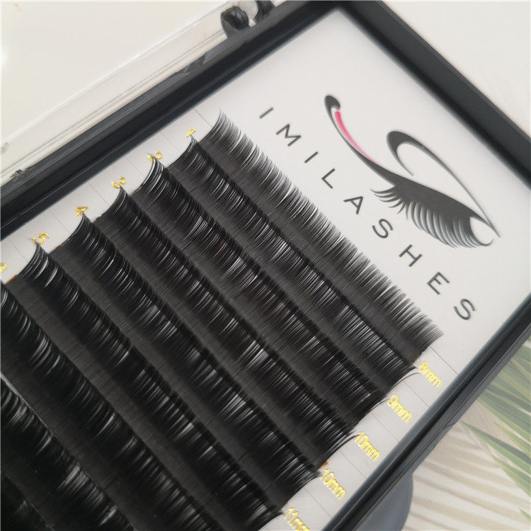 Korean PBT flat lash extensions factory - A